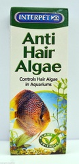 Interpet Anti Hair Algae Water Treatment100ml