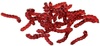 Bloodworm Tubifex Daphnia 3 X 100ml Bags Weekly Subscription Bloodworm Tubifex Daphnia 3 X 100ml Bags Weekly Subscription