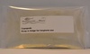 Copepod Culture 60ml Live Marine Food Copepod Culture 60ml Live Marine Food